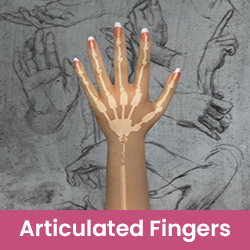 Articulated fingers [+$  64]